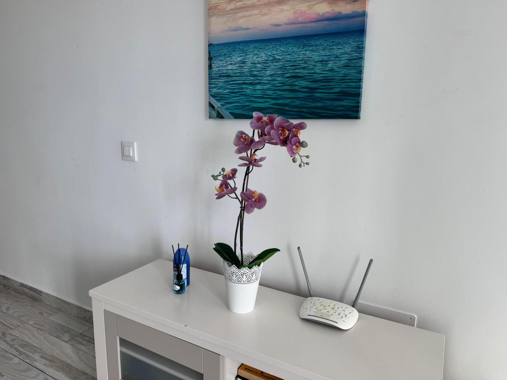 Stunning Apartments With Pool Tenerife Costa Adeje (Tenerife) Exterior foto